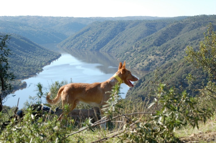 In the mountains of Portugal